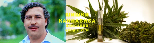 экстази Богданович