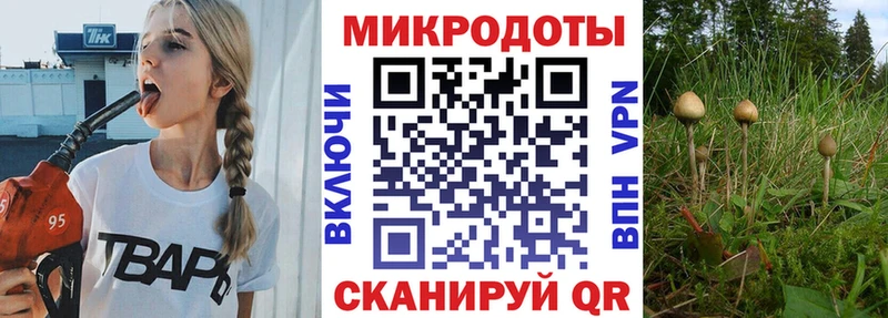 Псилоцибиновые грибы MAGIC MUSHROOMS  цена наркотик  Краснокаменск 